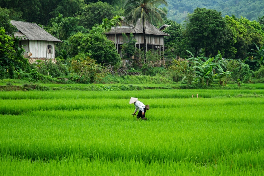 FULL-DAY DISCOVER MAI CHAU FROM HA NOI