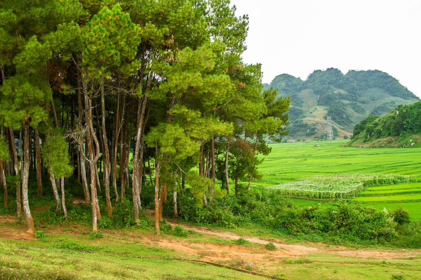 FULL-DAY DISCOVER MAI CHAU FROM HA NOI