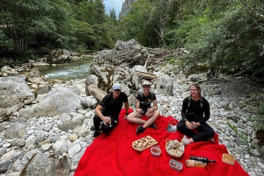 Velika planina and Logarska dolina with picnic (private tour)