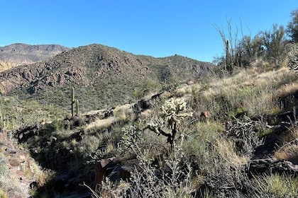 Guided Hike and Yoga Session at the Sonoran Desert