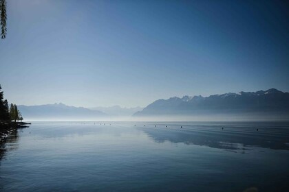 Lausanne, Montreux og Chillon: Privat tur fra Genève