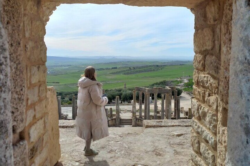 Private Guided Tour to Dougga and Bulla Regia From Tunis