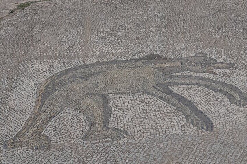 Day Trip to Dougga and Bulla Regia from Tunis 