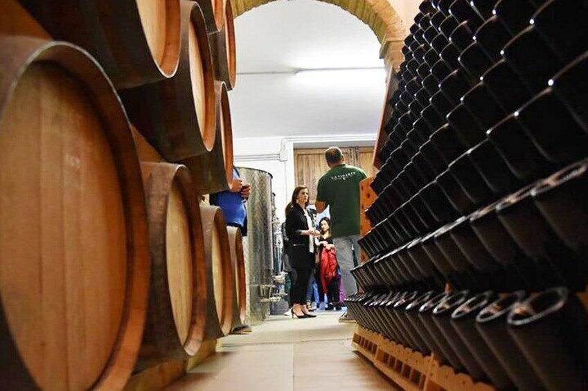 Wine Tasting and Guided Visit to the Vineyard and Cellar in S. Maria Imbaro