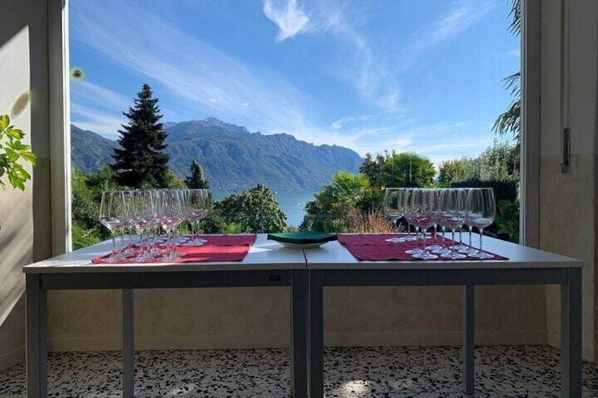 Panoramic Wine Tasting in Bellagio area