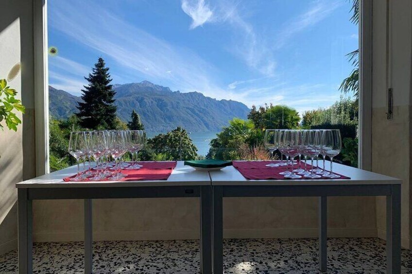 Panoramic Wine Tasting in Bellagio area