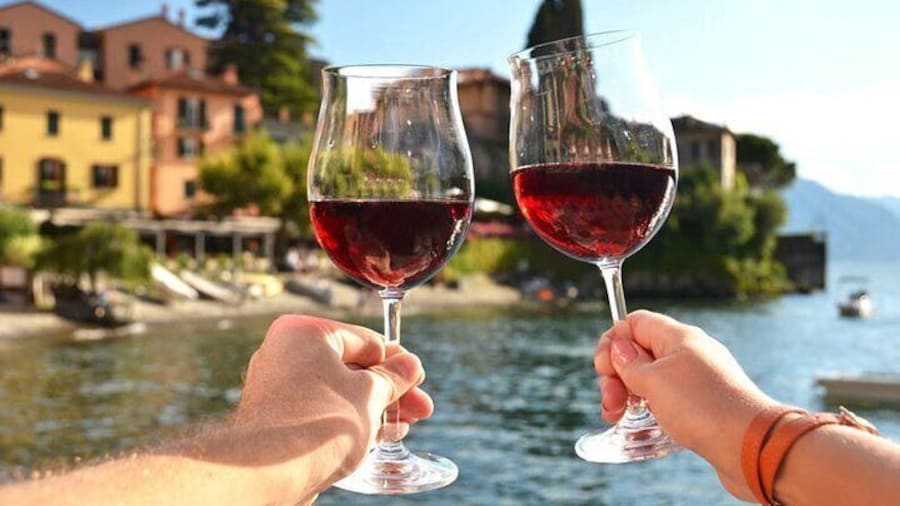 Panoramic Wine Tasting in Bellagio area