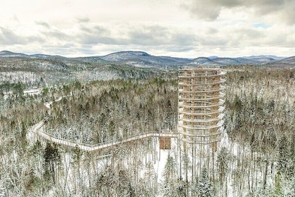 Ticket to Mont Tremblant Treetop Observatory and Walk