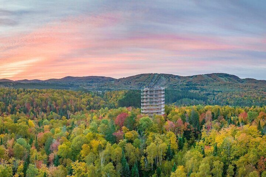 Ticket to Mont Tremblant Treetop Observatory and Walk