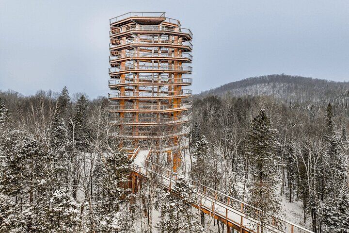 Treetop Observatory and Walk