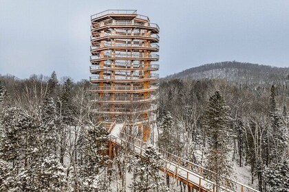 Access to Mont-Tremblant Treetop Observatory and Walk