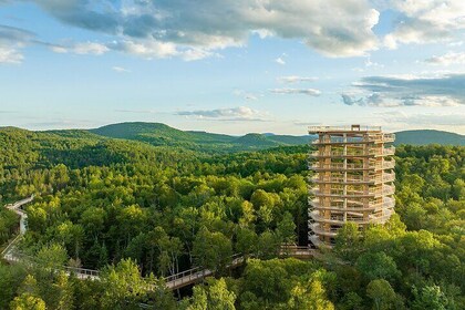 Ticket to Mont Tremblant Treetop Observatory and Walk