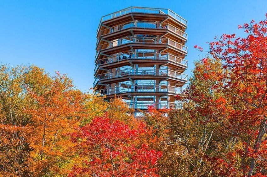 Ticket to Mont Tremblant Treetop Observatory and Walk