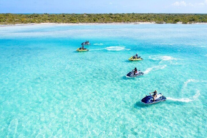 Iguana island