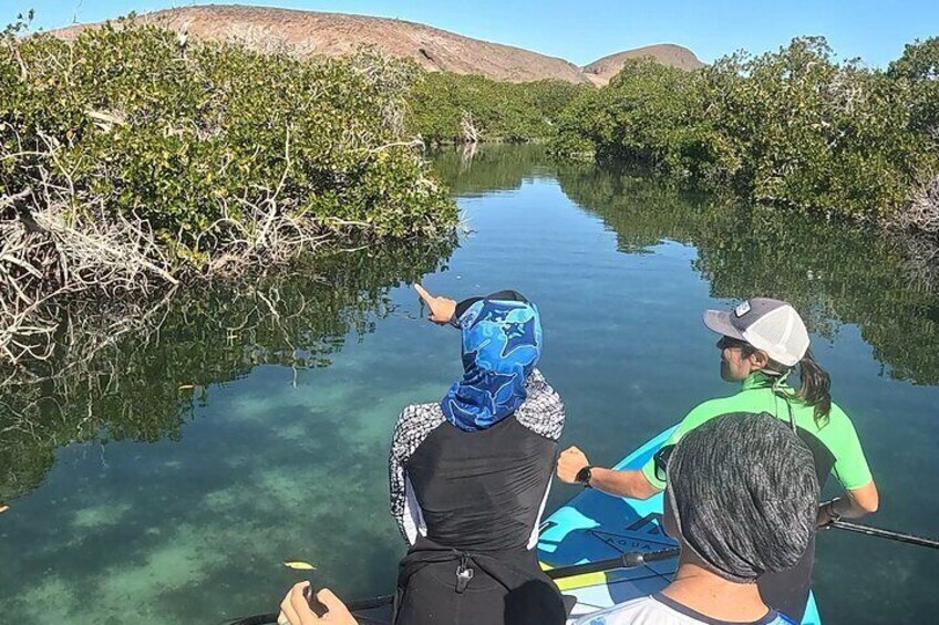 Paddleboarding Espiritu Santo Island