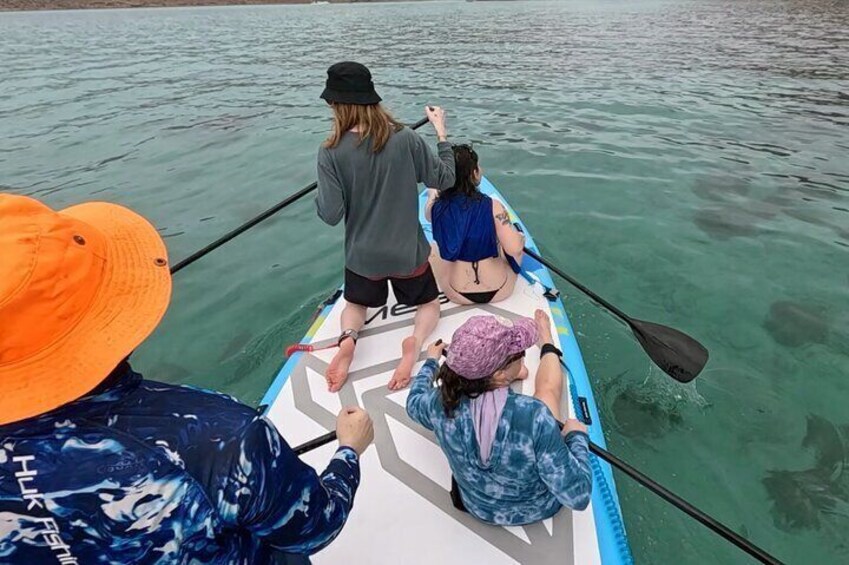 Paddleboarding Espiritu Santo Island