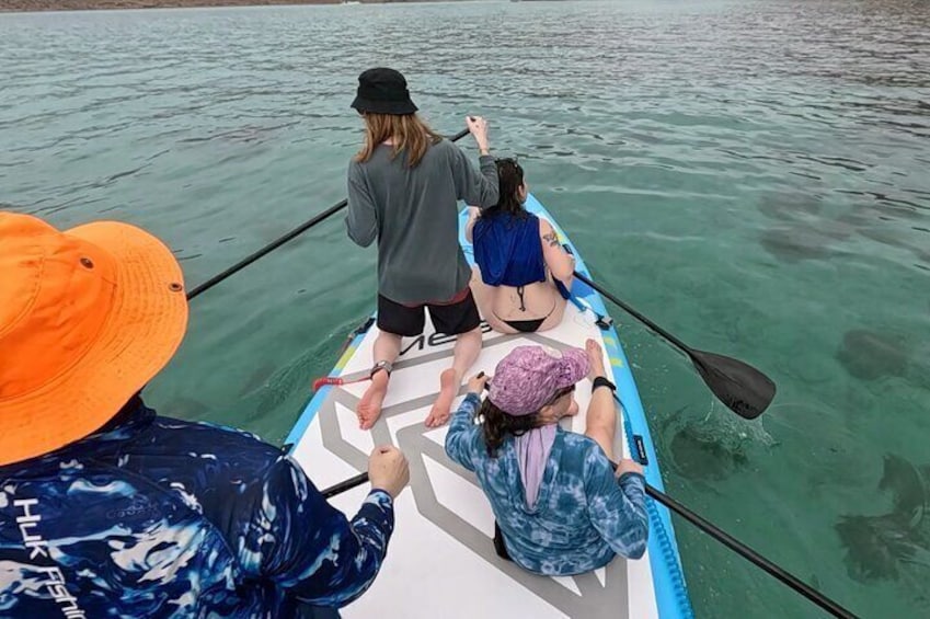 Paddleboarding Espiritu Santo Island