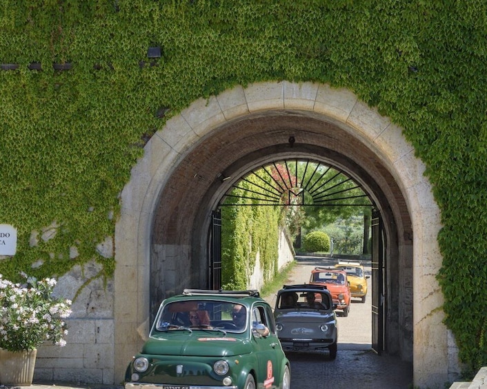 Picture 3 for Activity Peschiera del Garda: Vintage FIAT 500 Rental