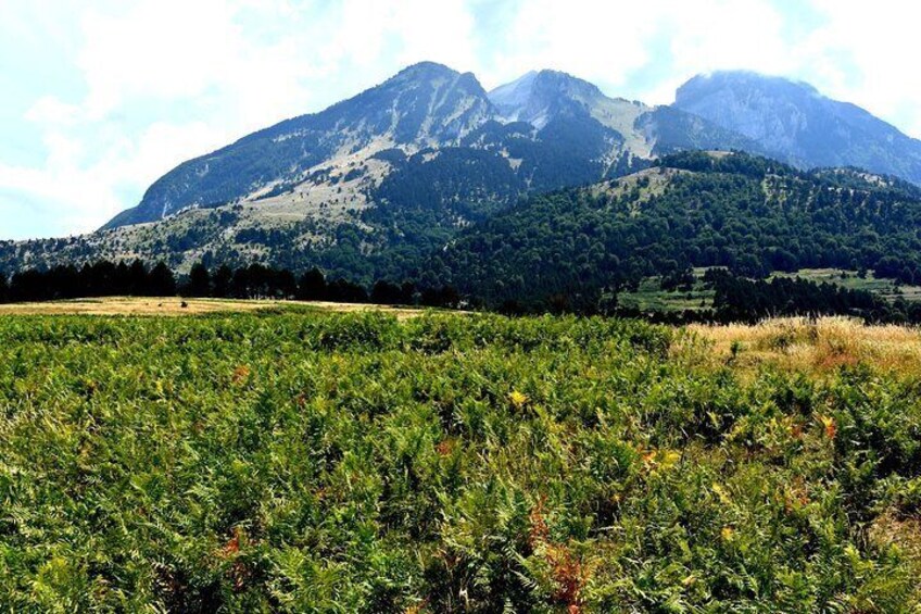 Tomori mount Berat