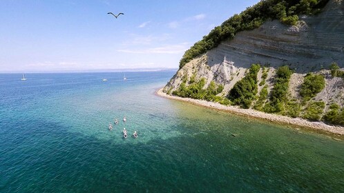 Pesisir Slovenia: Penyewaan Papan Kayak Berdiri di Pantai Slovenia