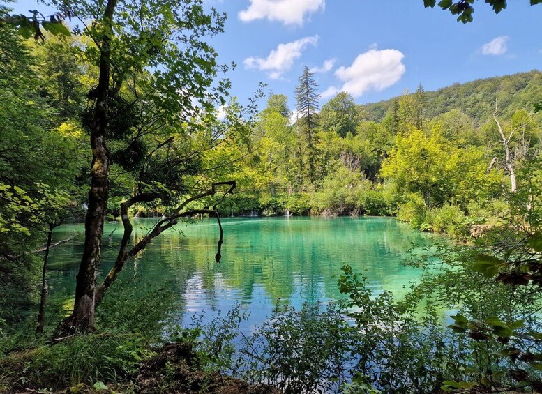 Picture 4 for Activity From Zadar: Plitvice Lakes Day Trip with Panoramic Boat Ride