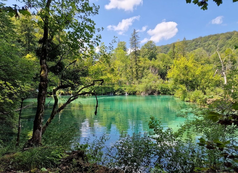 Picture 4 for Activity From Zadar: Plitvice Lakes Day Trip with Panoramic Boat Ride