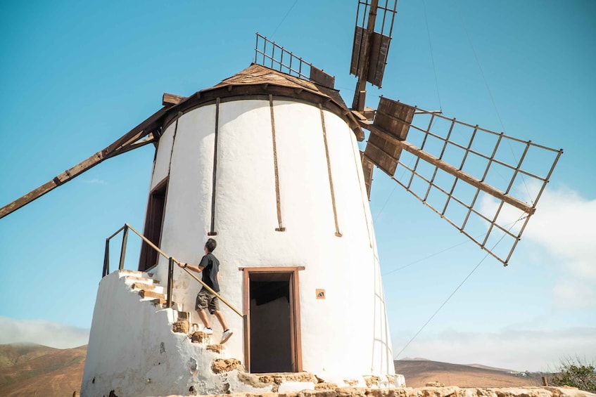 Picture 2 for Activity Fuerteventura: Tickets to Salt, Cheese and Windmill Museums