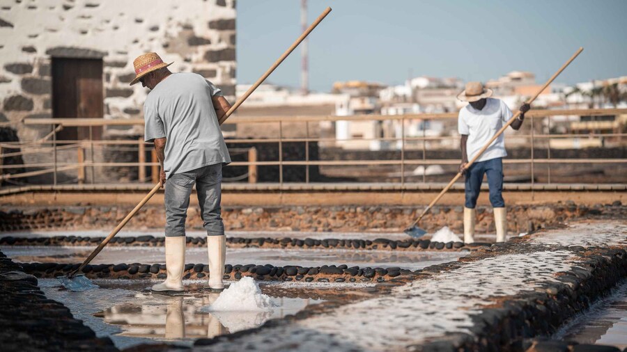 Fuerteventura: Tickets to Salt, Cheese and Windmill Museums