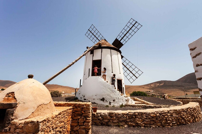 Picture 7 for Activity Fuerteventura: Tickets to Salt, Cheese and Windmill Museums