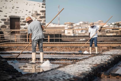 Fuerteventura: Billetter til salt-, oste- og vindmøllemuseer