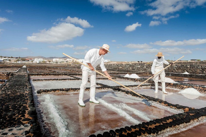 Picture 5 for Activity Fuerteventura: Tickets to Salt, Cheese and Windmill Museums