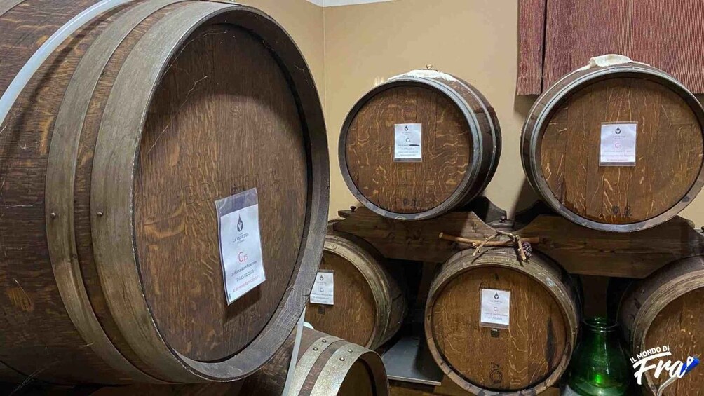 Picture 6 for Activity Modena: Guided Balsamic Vinegar Cellar Tour & Optional Meal