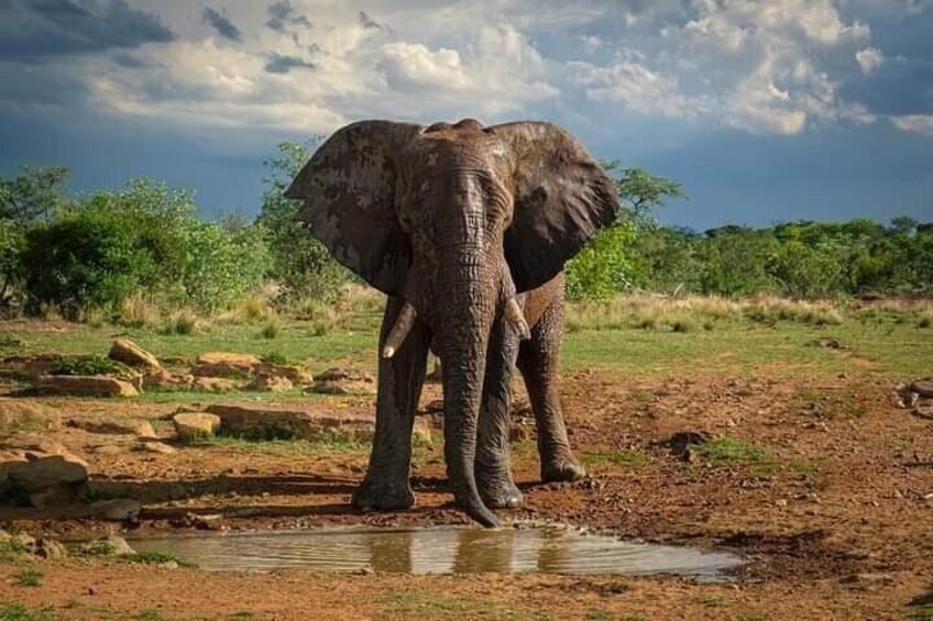 3 Days Private Safari Tour in Tsavo East Taita Hills