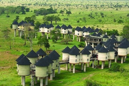 3 Days Private Safari Tour in Tsavo East Taita Hills