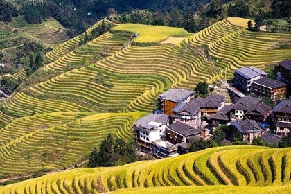 Longji Rice Terrace Private Day Tour from Yangshuo