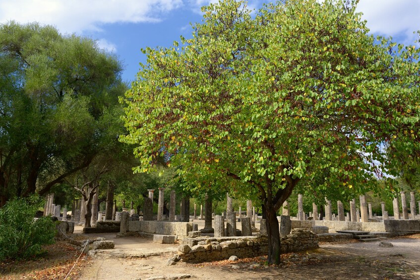 Ancient Olympia & Kourouta Beach Escape