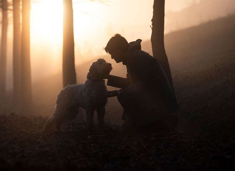 Picture 1 for Activity Langhe: Truffle Hunting Tour at Sunset