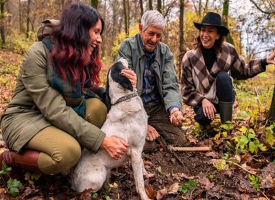 Langhe: Truffle Hunting Tour at Sunset