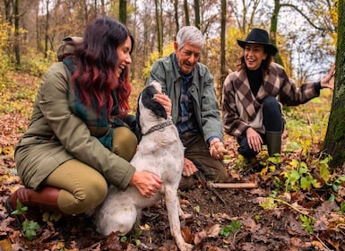 Langhe: Truffle Hunting Tour at Sunset