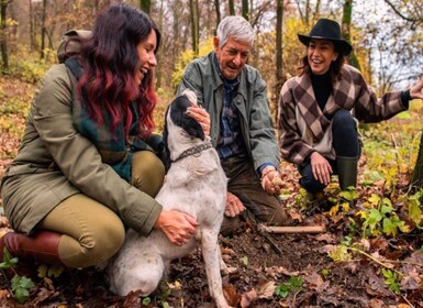 Langhe: Truffle Hunting Tour at Sunset