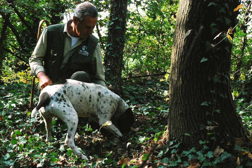 Picture 3 for Activity Langhe: Truffle Hunting Tour at Sunset