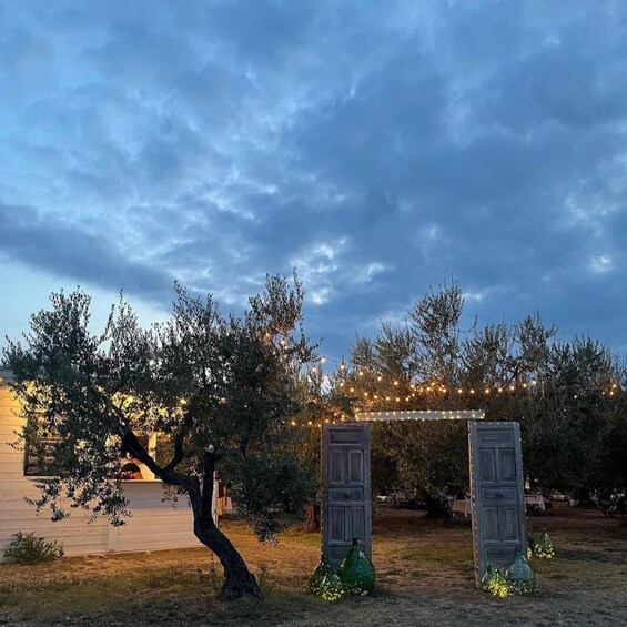 Picture 10 for Activity Santa Maria Imbaro: La Vinarte Picnic Under the Moonlight