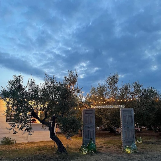 Picture 10 for Activity Santa Maria Imbaro: La Vinarte Picnic Under the Moonlight
