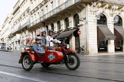 Bordeaux: Sightseeing med sidevogn