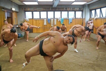 Exclusive Access to Sumo Morning Practice in Tokyo Skytree Town