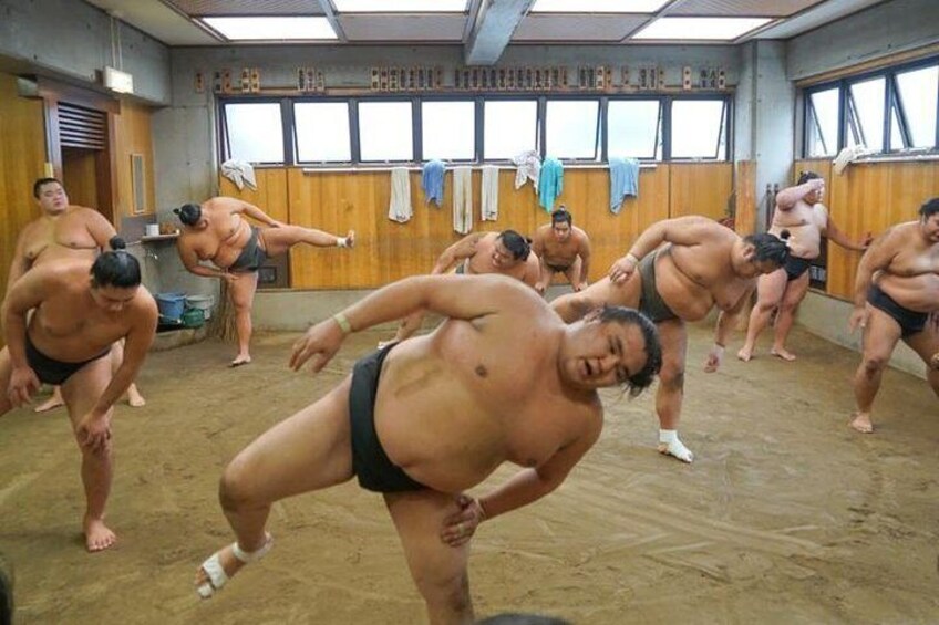 [April 2023] Watch Sumo Wrestler's Morning Pracetice in Tokyo