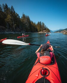 Río Campbell: tour en kayak y avistamiento de ballenas