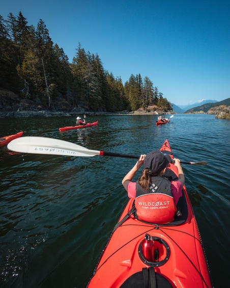 Campbell River: Kayaking and Whale Watching Tour
