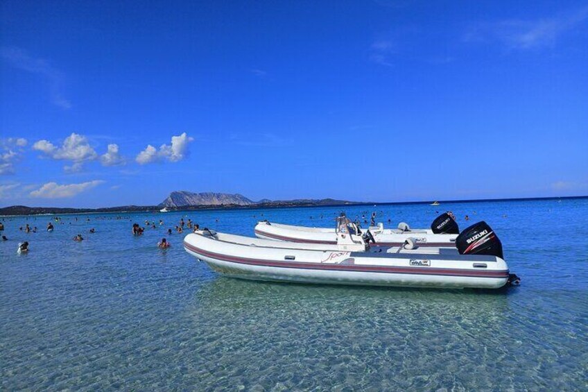 Tavolara : Mini Tour of the Archipelago from San Teodoro