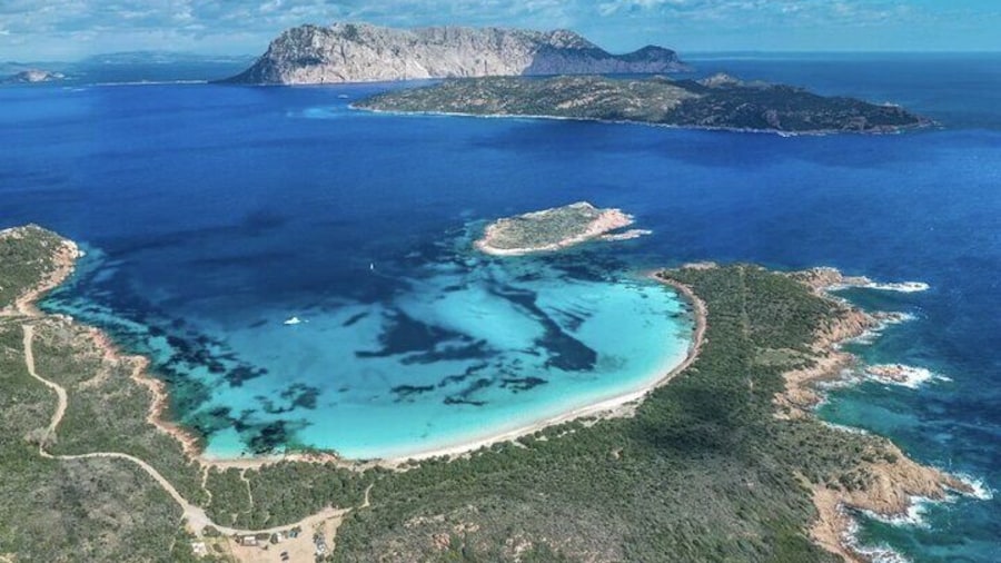 Tavolara : Mini Tour of the Archipelago from San Teodoro